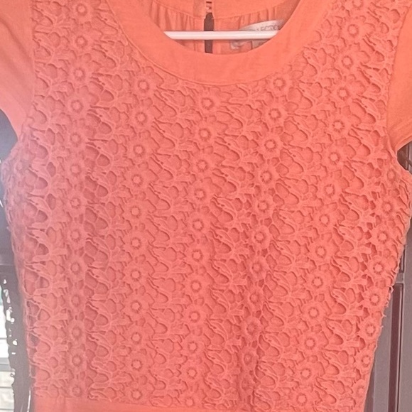 Perfect Spring dress! - Picture 4 of 4